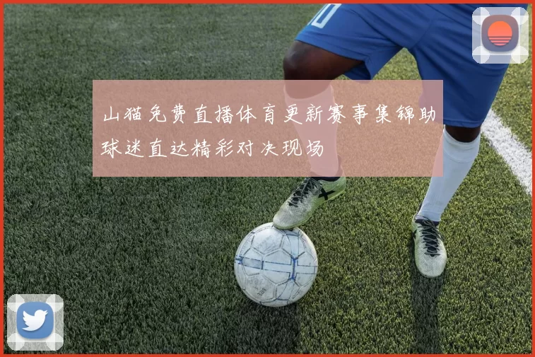 山猫免费直播体育更新赛事集锦助球迷直达精彩对决现场