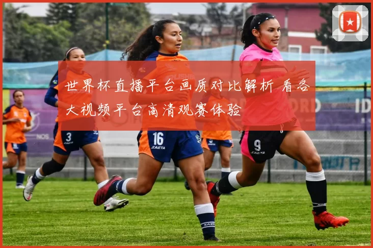 世界杯直播平台画质对比解析 看各大视频平台高清观赛体验