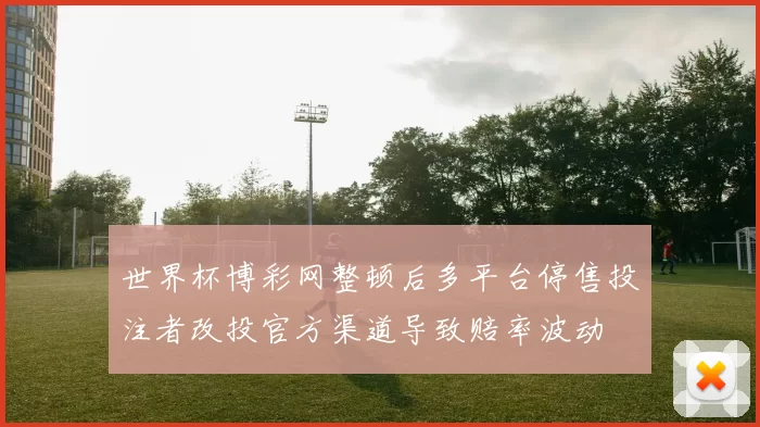 世界杯博彩网整顿后多平台停售投注者改投官方渠道导致赔率波动